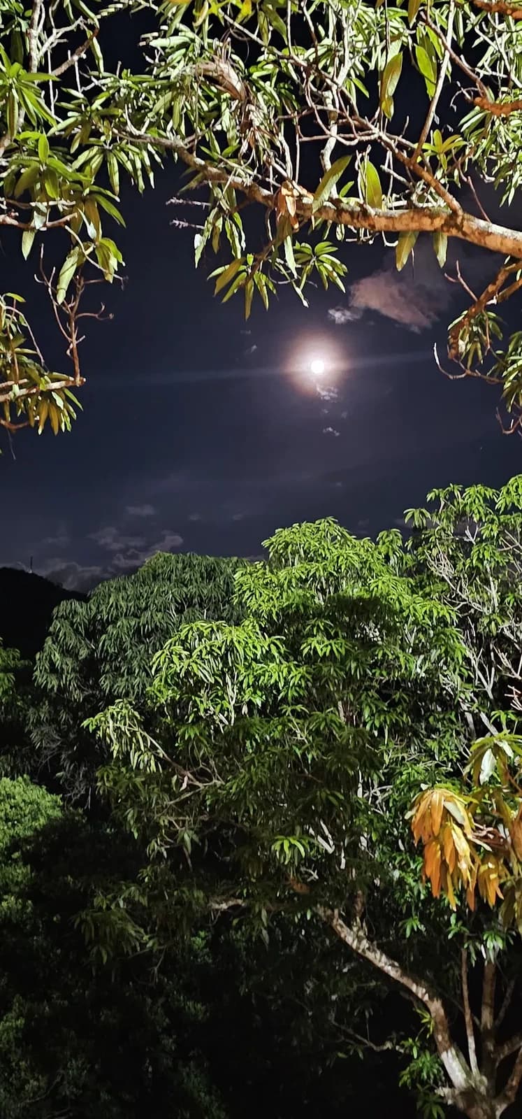 Finca en Anapoima para 22 personas con piscina, jacuzzi y zonas sociales 2